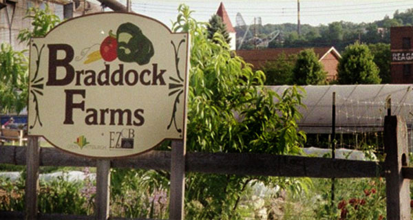 Braddock Farms